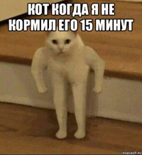 кот когда я не кормил его 15 минут 