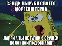 сэнди выруби своего моргенштерна ларри а ты не гуляй с орущей колонкой под окнами