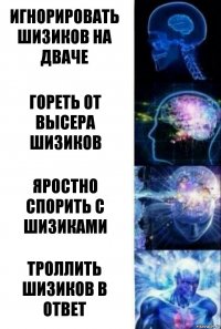 Игнорировать шизиков на дваче Гореть от высера шизиков Яростно спорить с шизиками Троллить шизиков в ответ