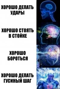 хорошо делать удары хорошо стоять в стойке хорошо бороться хорошо делать гусиный шаг