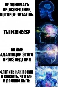 не понимать произведение, которое читаешь Ты режиссер аниме адаптации этого произведения слепить как понял и сказать, что так и должно быть