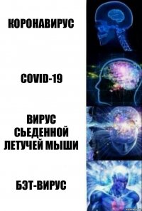 Коронавирус Сovid-19 Вирус сьеденной летучей мыши Бэт-вирус