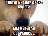 платить нада? драка будет? мы мирится собрались...