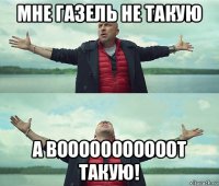 мне газель не такую а вооооооооооот такую!