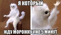 я который жду морожку уже 5 минут