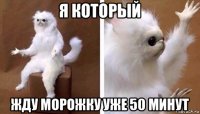 я который жду морожку уже 50 минут