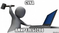 сука амир елебесов