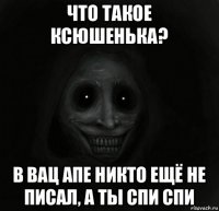 что такое ксюшенька? в вац апе никто ещё не писал, а ты спи спи