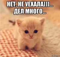 нет, не уехала)))... дел много... 