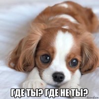  где ты? где не ты?