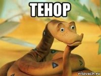 tehop 