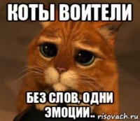 коты воители без слов, одни эмоции..