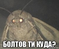  болтов ти куда?