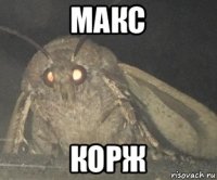 макс корж