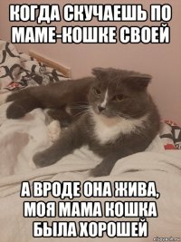 когда скучаешь по маме-кошке своей а вроде она жива, моя мама кошка была хорошей