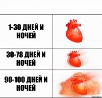 1-30 дней и Ночей 30-78 Дней и Ночей 90-100 Дней и Ночей