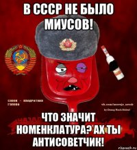 в ссср не было миусов! что значит номенклатура? ах ты антисоветчик!