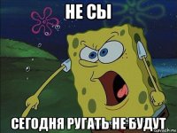 не сы сегодня ругать не будут