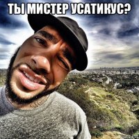 ты мистер усатикус? 