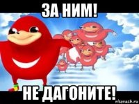 за ним! не дагоните!