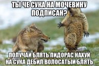 ты че сука на мочевину подписан? получай блять пидорас нахуй на сука дебил волосатый блять