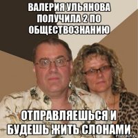 валерия ульянова получила 2 по обществознанию отправляешься и будешь жить слонами