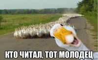  кто читал, тот молодец