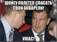 шойгу полетел спасать свои акварели! ужас!