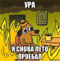 ура я снова лето проебал