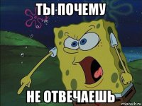 ты почему не отвечаешь