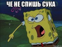 че не спишь сука 