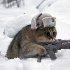 Пидрилы ебаные