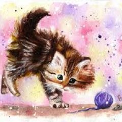 КОТИ МИЛИ
