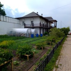 Монастырские теплицы