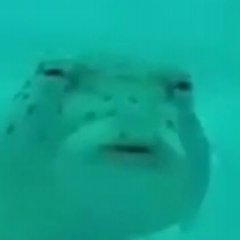 Ну хрень