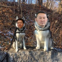 Elbegdorj husky and Battulga malamute