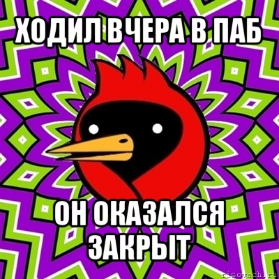 ходил вчера в паб он оказался закрыт, Мем Омская птица