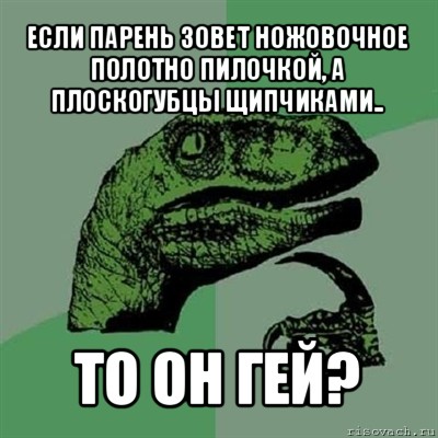 если парень зовет ножовочное полотно пилочкой, а плоскогубцы щипчиками.. то он гей?