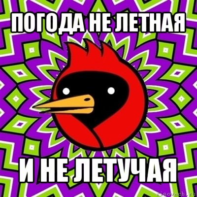 погода не летная и не летучая