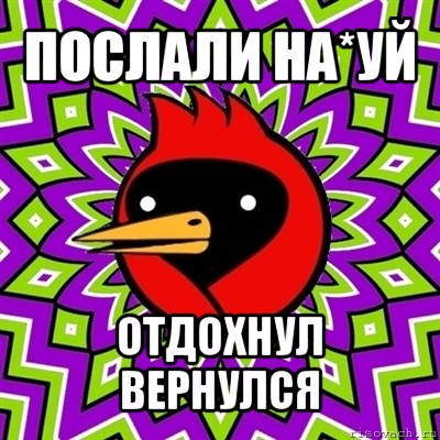 послали на*уй отдохнул вернулся, Мем Омская птица