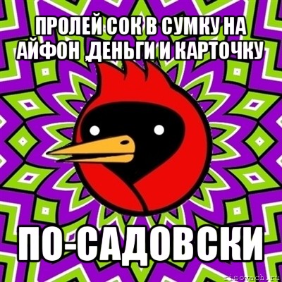 пролей сок в сумку на айфон ,деньги и карточку по-садовски