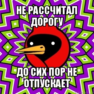 не рассчитал дорогу до сих пор не отпускает, Мем Омская птица