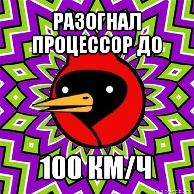 разогнал процессор до 100 км/ч, Мем Омская птица