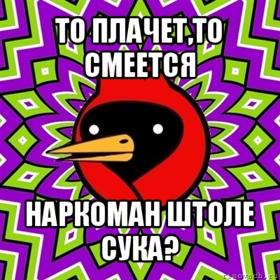 то плачет,то смеется наркоман штоле сука?, Мем Омская птица