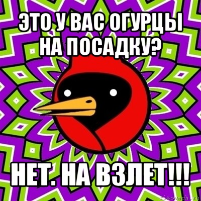 это у вас огурцы на посадку? нет. на взлет!!!, Мем Омская птица