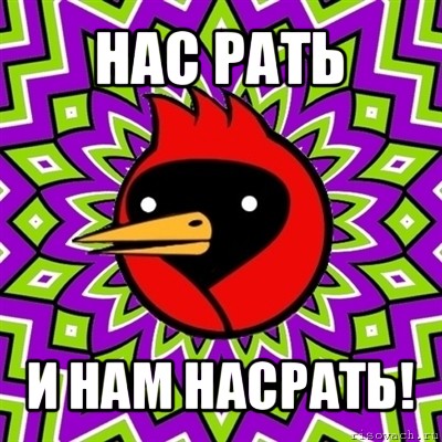 нас рать и нам насрать!, Мем Омская птица