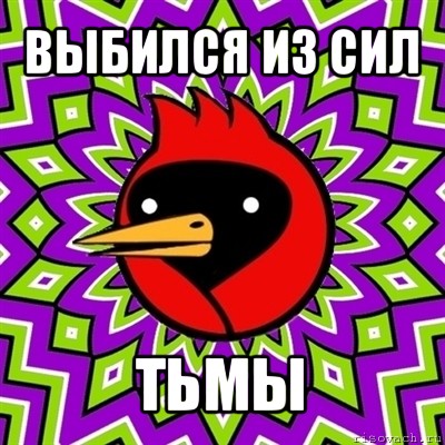 выбился из сил тьмы, Мем Омская птица