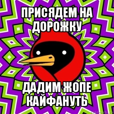 присядем на дорожку дадим жопе кайфануть, Мем Омская птица