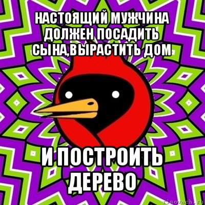 настоящий мужчина должен посадить сына,вырастить дом и построить дерево, Мем Омская птица