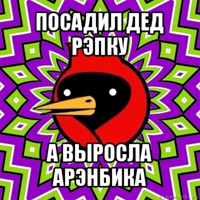 посадил дед рэпку а выросла арэнбика, Мем Омская птица